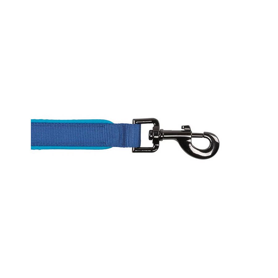 Nite Ize NITEDOG NDLR-03-R3 Rechargeable LED Dog Leash, 5 ft L, 1-1/2 in W, Nylon Line, Blue