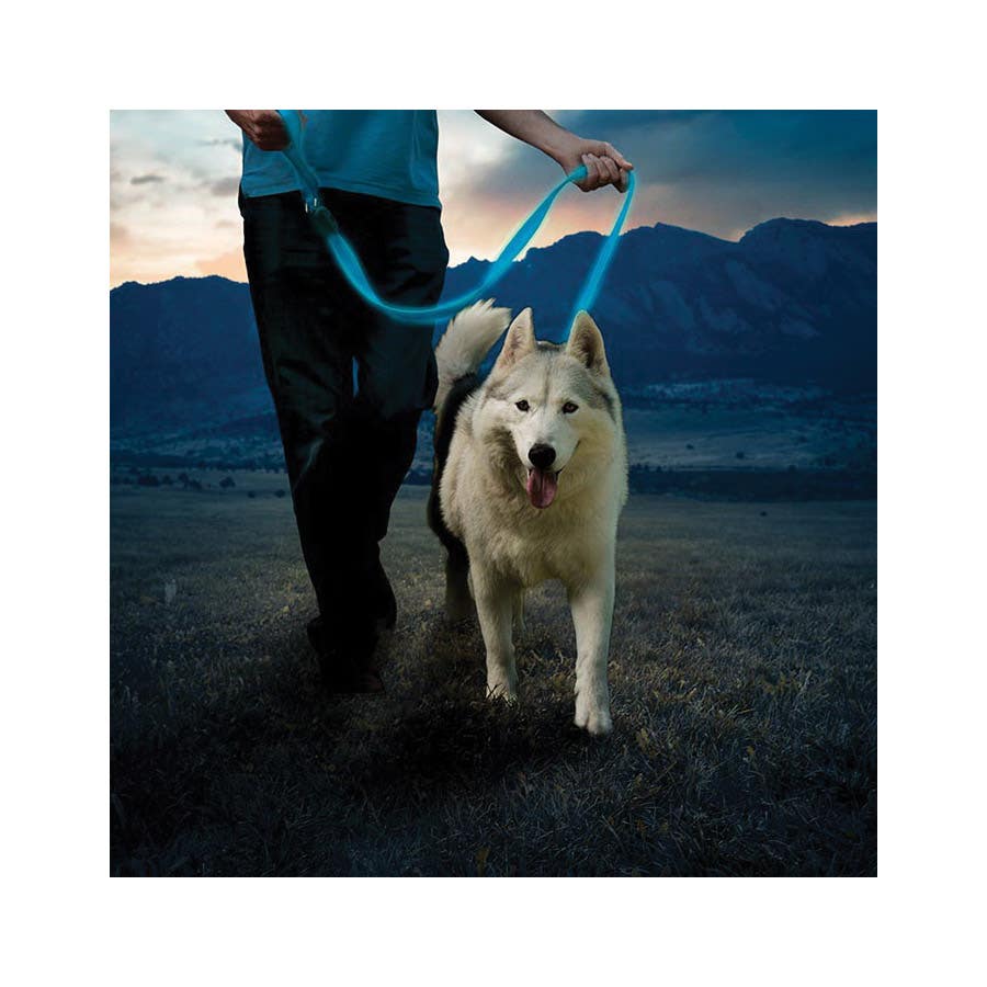 Nite Ize NITEDOG NDLR-03-R3 Rechargeable LED Dog Leash, 5 ft L, 1-1/2 in W, Nylon Line, Blue