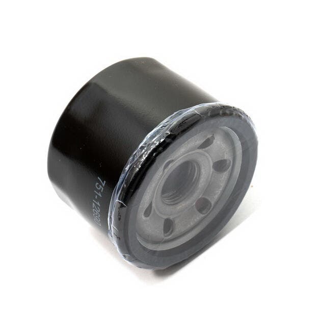 Cub Cadet 490-201-C010 Oil Filter