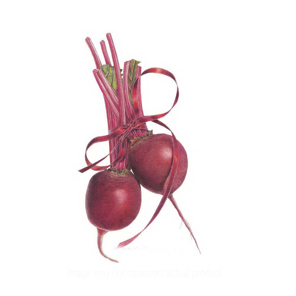 Botanical Interests Vegetable Seed, Detroit Dark Red Beet, Beta Vulgaris, 2.5 g Packet