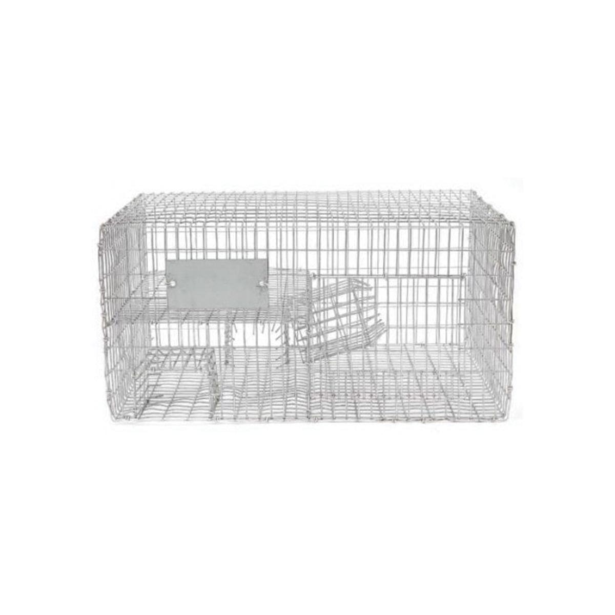 Bird-B-Gone Bird Trap, Large, Lightweight, 16 in L, Repels: Sparrow