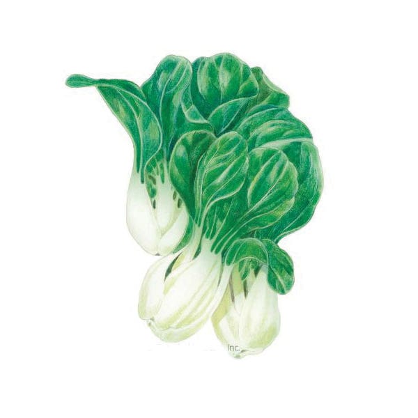 Botanical Interests Vegetable Seed, Baby Choi Bok Choy, Brassica Oleracea Subsp. Chinensis, Spring, Winter Harvest