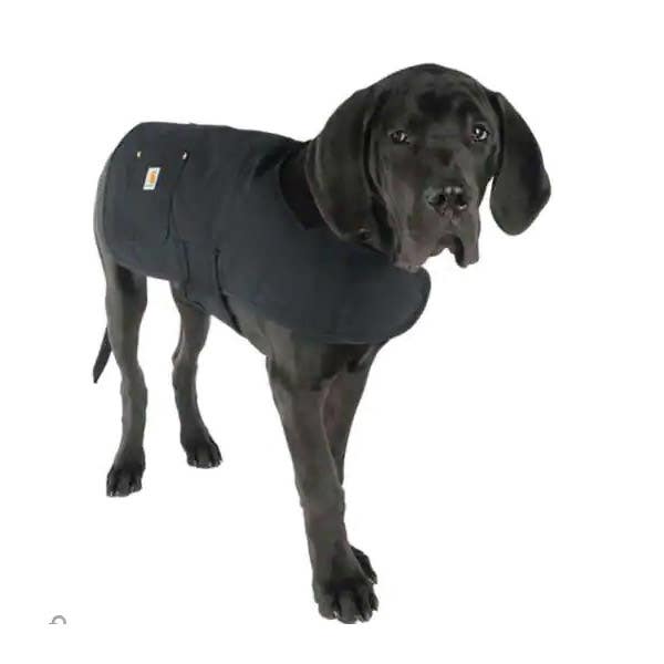 Carhartt Dog Chore Coat, Orange, XL