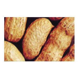 Feathered Friend 775431-50 In shell Peanuts Wild Bird Food, 50 lb, Bag