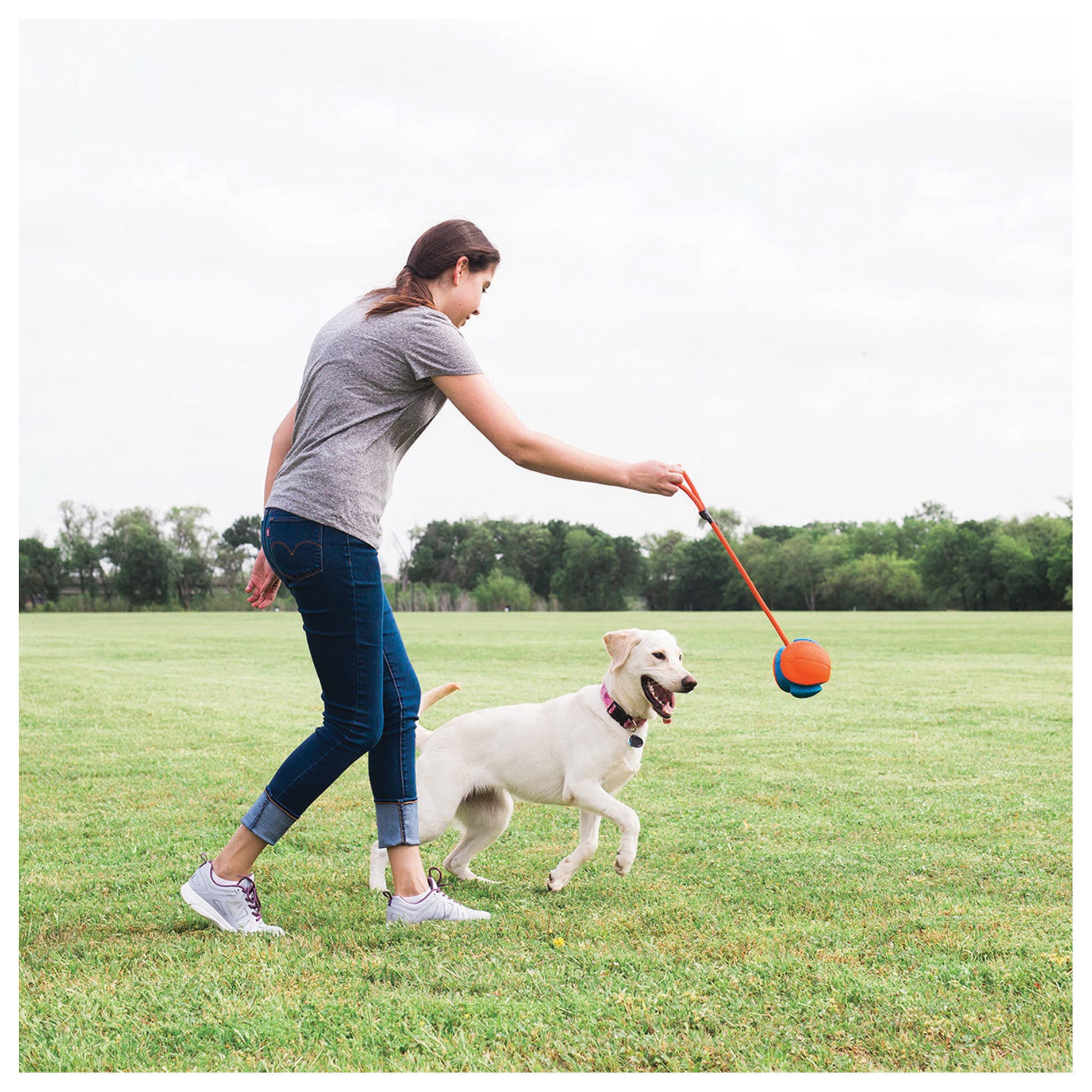 Chuckit! Rope Fetch Dog Toy, One-Size, Ball, Rope and Tug, EVA/Polyester Oxford, Orange