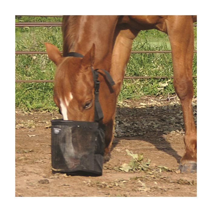 Cashel Feed Rite Bag, Polyester, Black - 771786