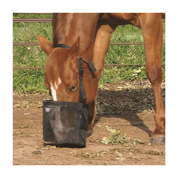 Cashel Feed Rite Bag, Polyester, Black - 771787