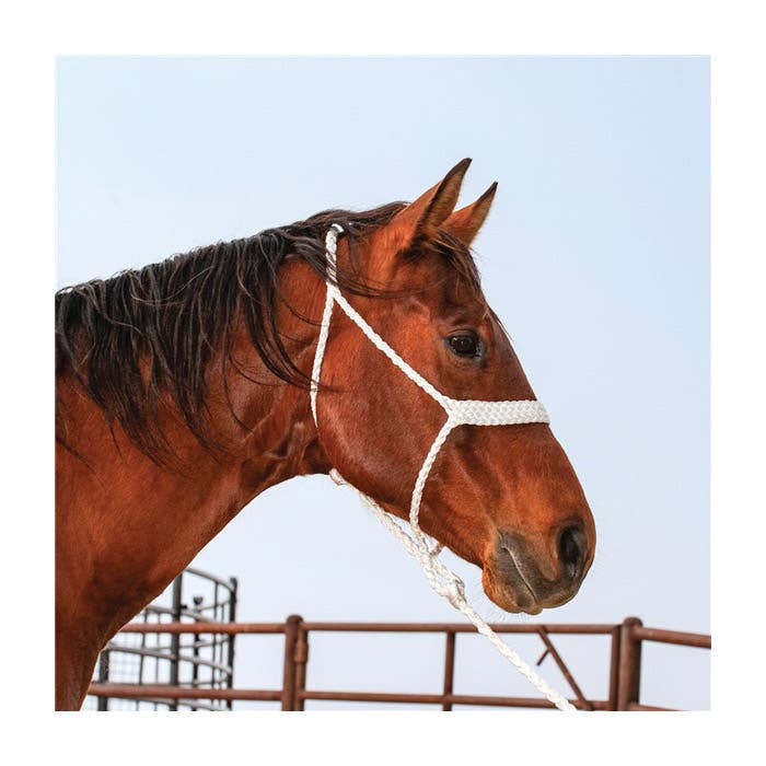 Classic Equine Flat Braid Rope Halter, Polyester, White