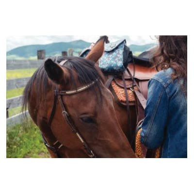 Cashel Trail Breast Collar, 1 in W, Leather, Chocolate