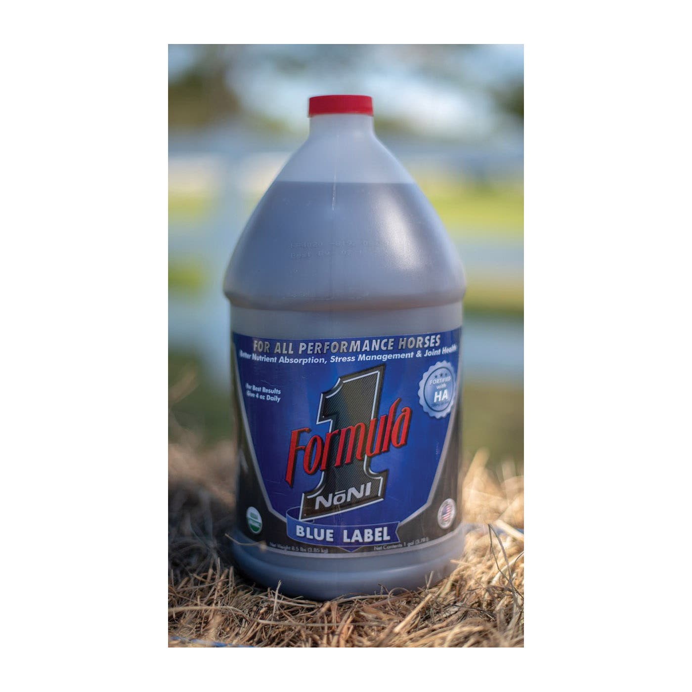 Formula 1 NONI Blue Label Liquid 1 gal