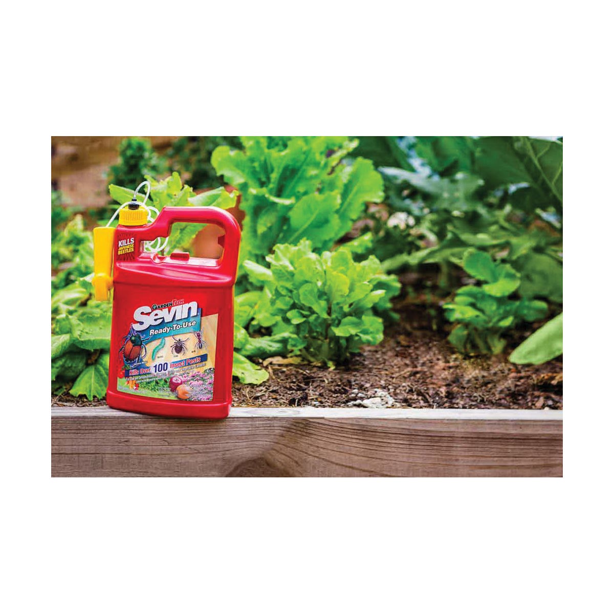 Sevin Ready-to-Use Bug Killer, Liquid, Spray Application, Outdoor, 1 gal