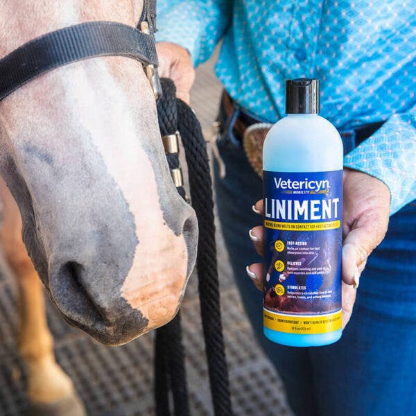 Vetericyn Equine Liniment, Liquid, Bright Blue, 16 oz