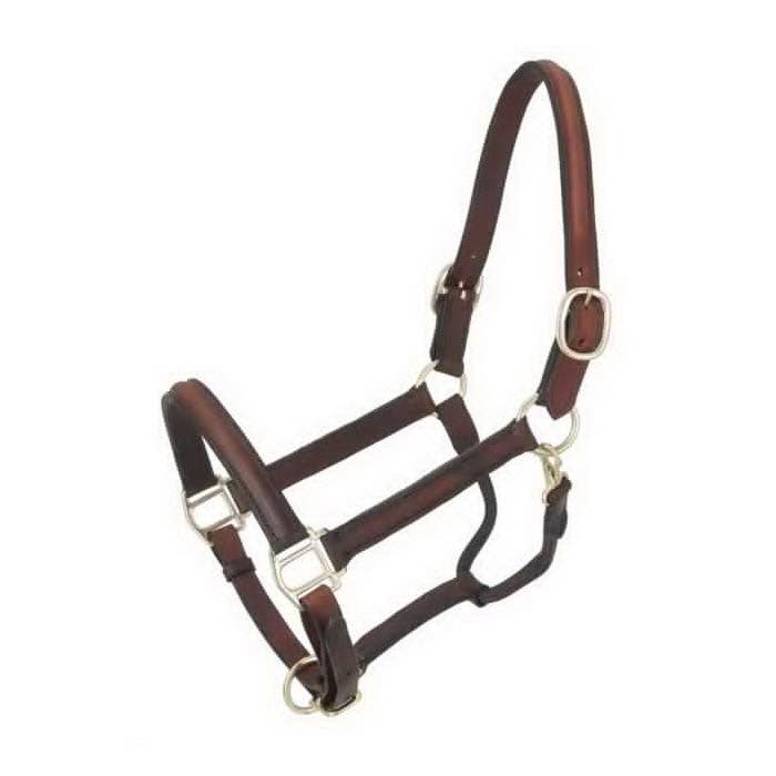 Royal King Raised Halter, Leather, Brown