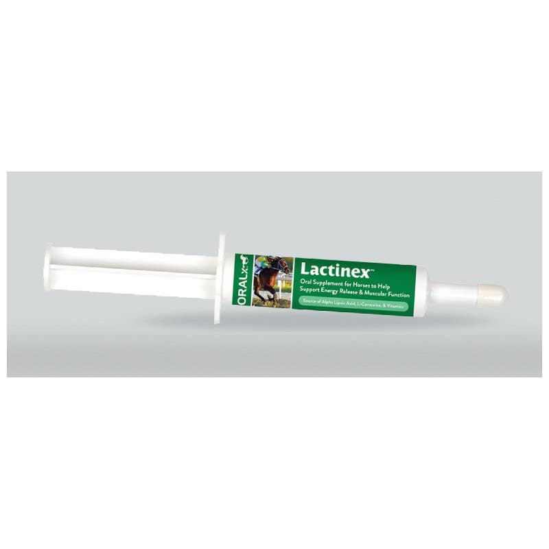 Oralx Lactinex 832487 Horse Supplement, 34 mL, Tube