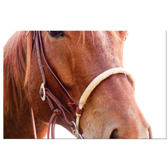Oxbow Tack Rawhide Series Wrapped Noseband, Rawhide Leather
