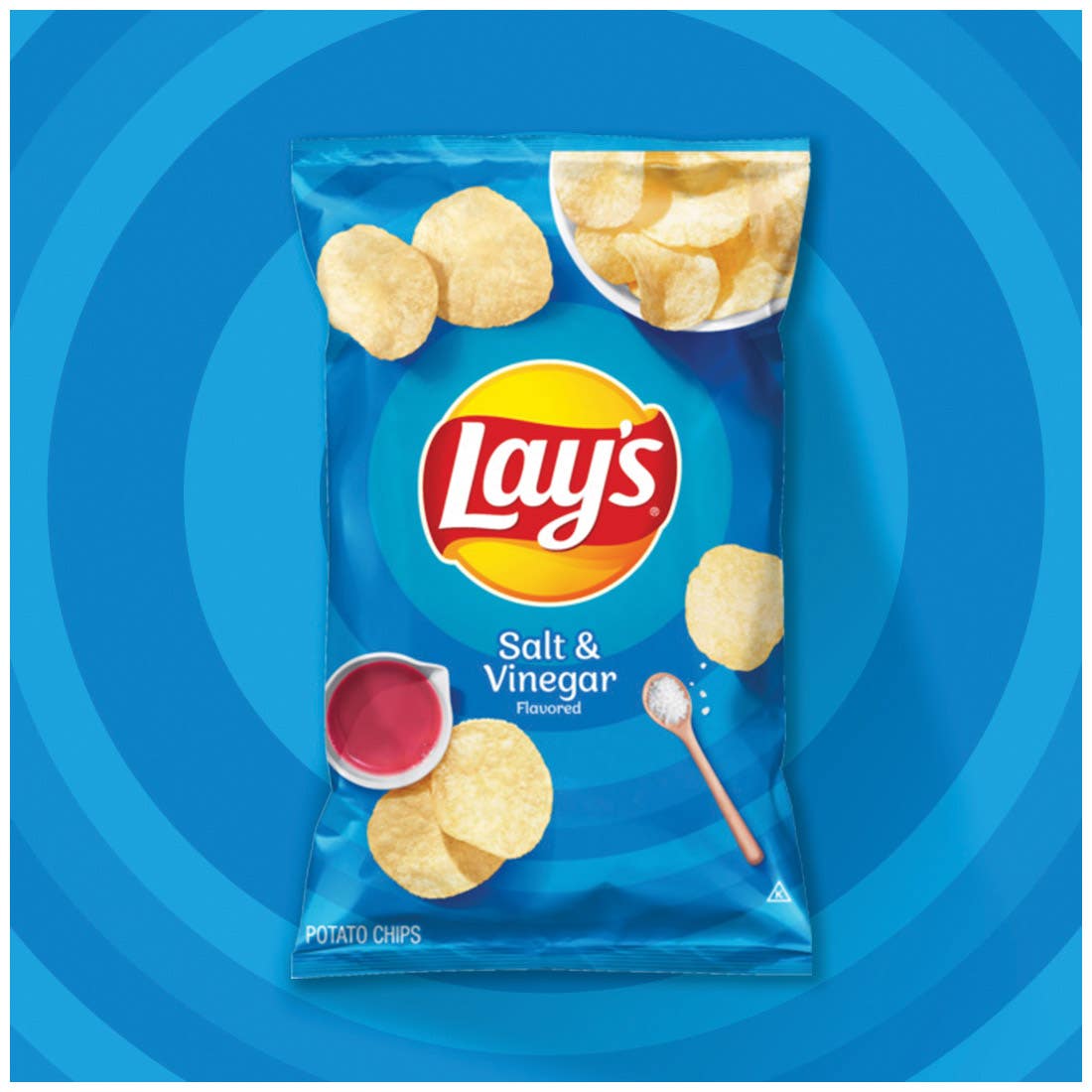 Lays Chips, Salt, Vinegar Flavor, 2.625 oz