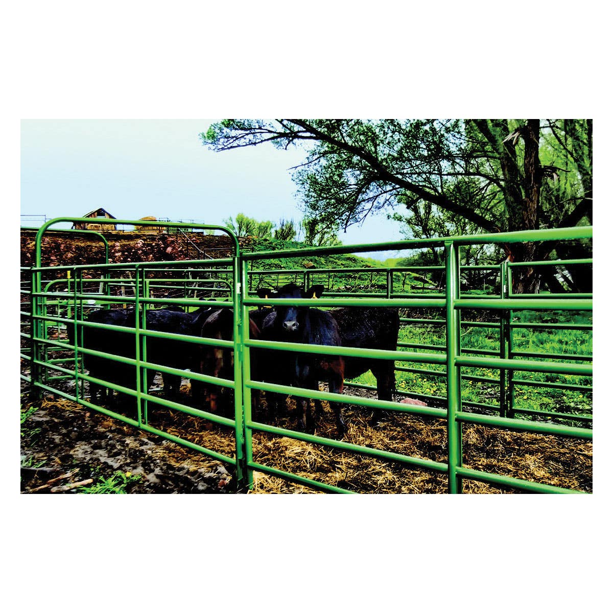Powder River 023-00012 Series Gate Panel, 114 lb Weight, 12 ft L, 70 in H, 16 ga ga, Green, Powder-Coated