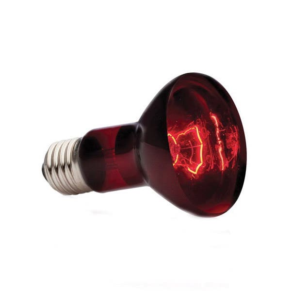 Exo Terra Spot Lamp, 50 W, Red