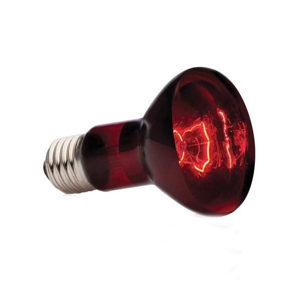Exo Terra Spot Lamp, 75 W, Red
