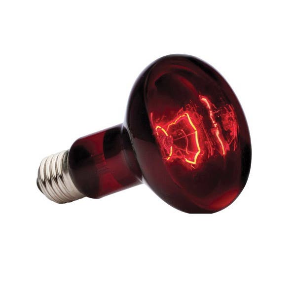 Exo Terra Spot Lamp, 100 W, Red