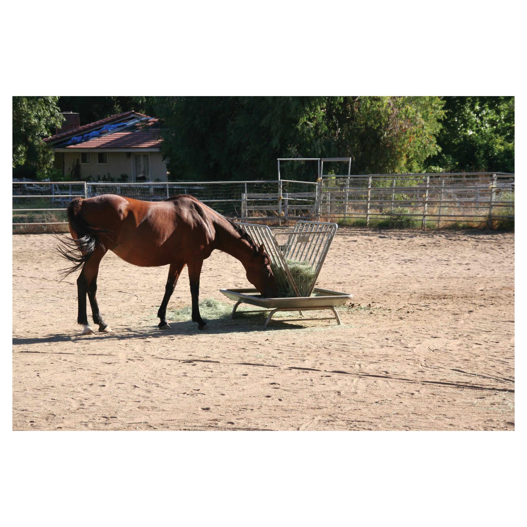 Rugged Ranch GV5PF Pasture Feeder – Galvanized Steel