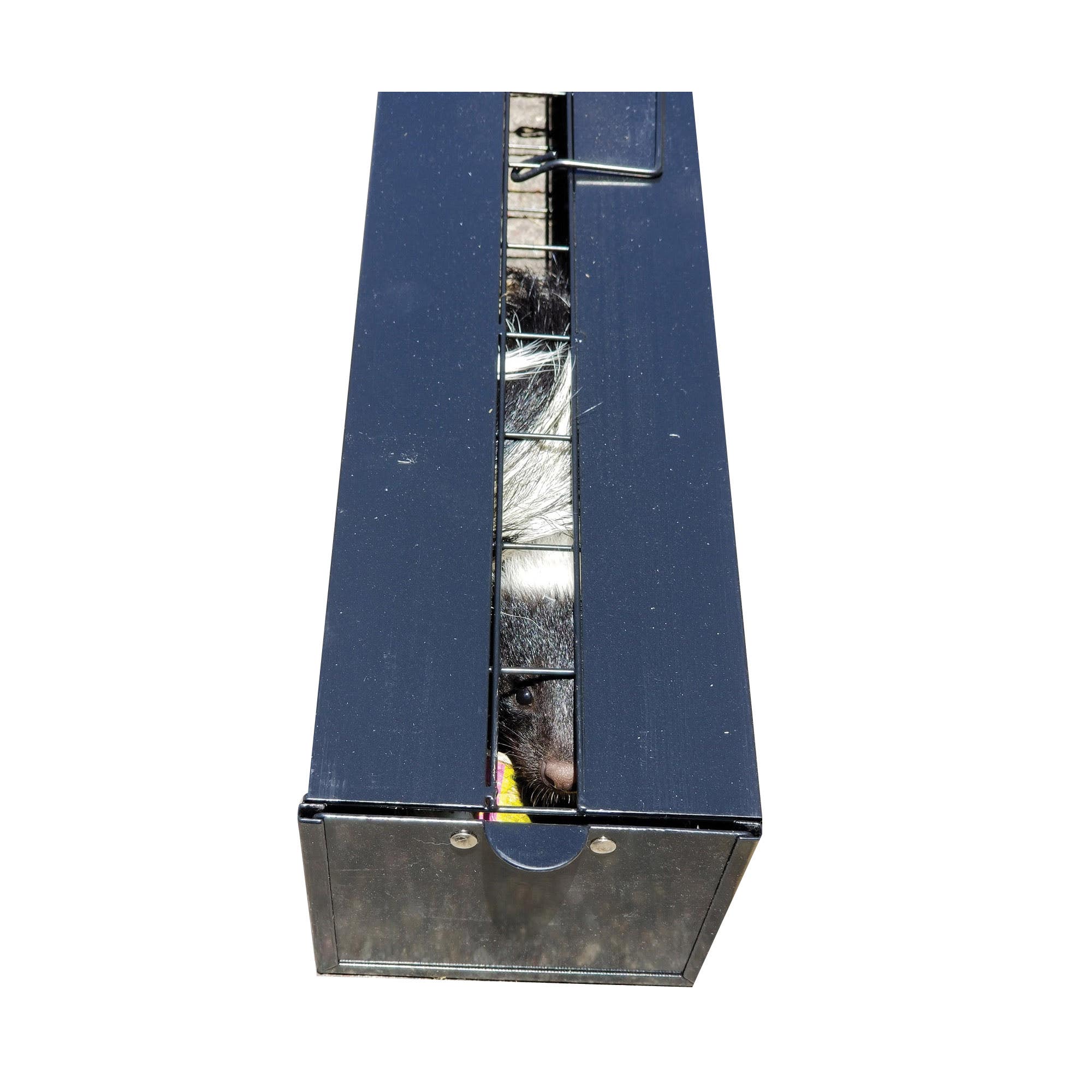 CatchMor Skunkinator Trap, 33 in L, 5-1/4 in W, 4 in H