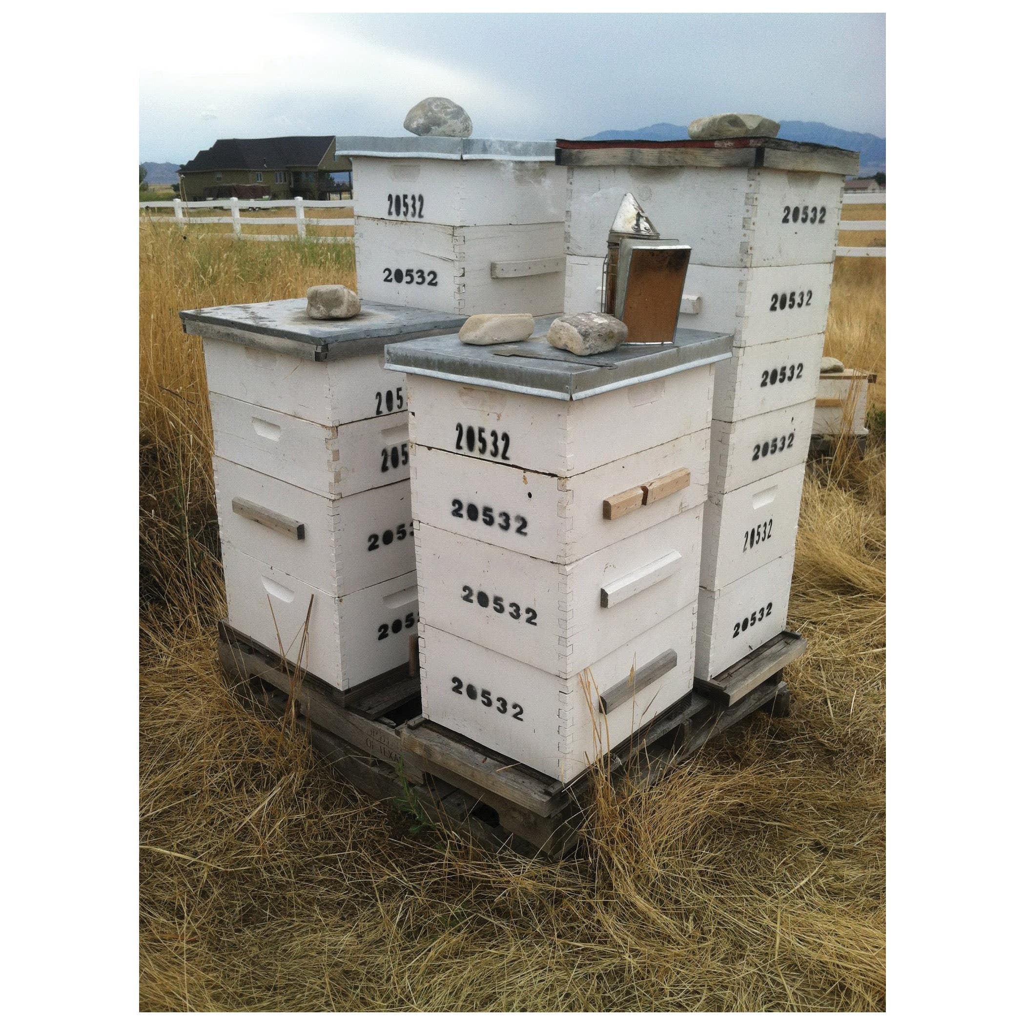 Harvest Lane Honey Bee Hive Box, Medium, Wood, White