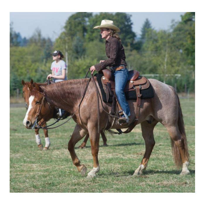 Coolback Standard Saddle Pad, Pile Fabric/Polyester, Brown - 776191