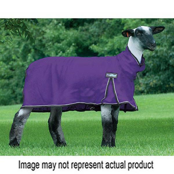 Weaver Livestock ProCool Sheep Blanket, XL, Purple, Ring, Snap Closure
