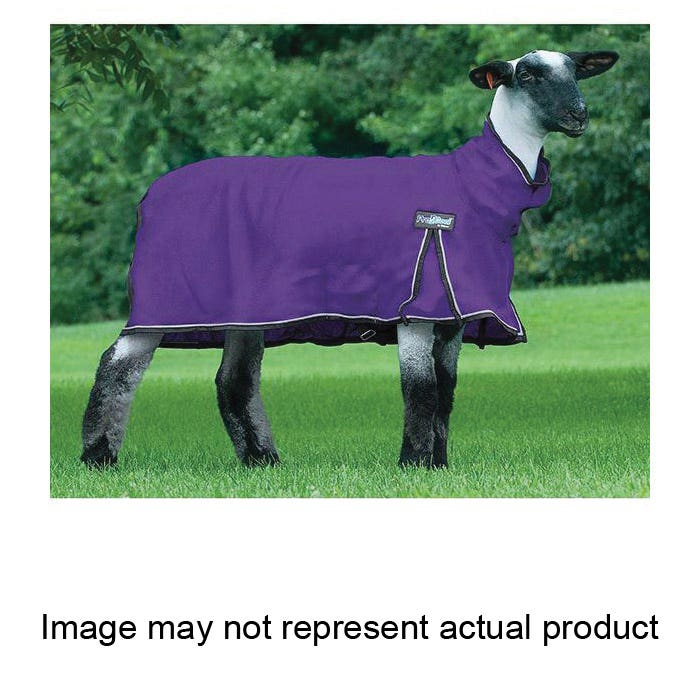 Weaver Livestock ProCool Sheep Blanket, XS, Purple, Ring, Snap Closure