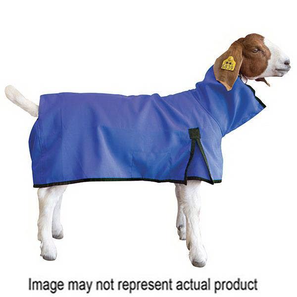 Weaver Livestock Goat Blanket, M, Blue, D-Ring Closure