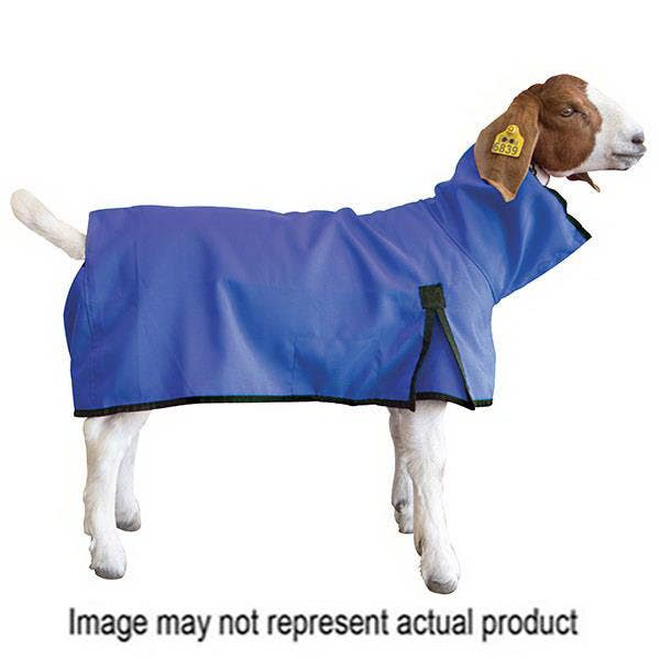 Weaver Livestock Goat Blanket, M, Purple, D-Ring Closure