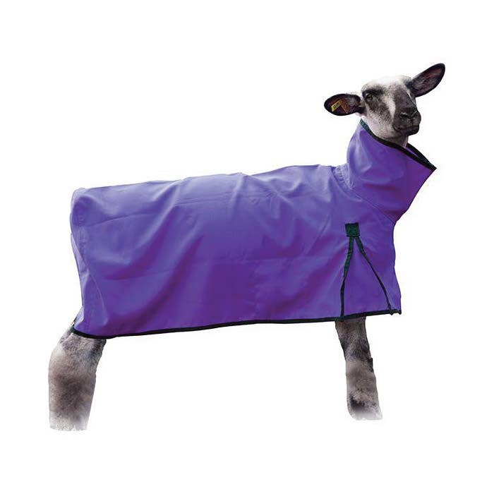 Weaver Livestock Sheep and Goat Underblanket, XS/S, Fleece/Jersey, Purple, D-Ring Closure