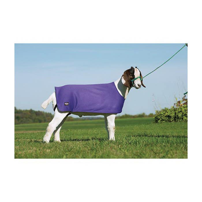 Weaver Livestock Sheep and Goat Under Blanket, L/XL, Fleece/Jersey, Purple, D-Ring Closure