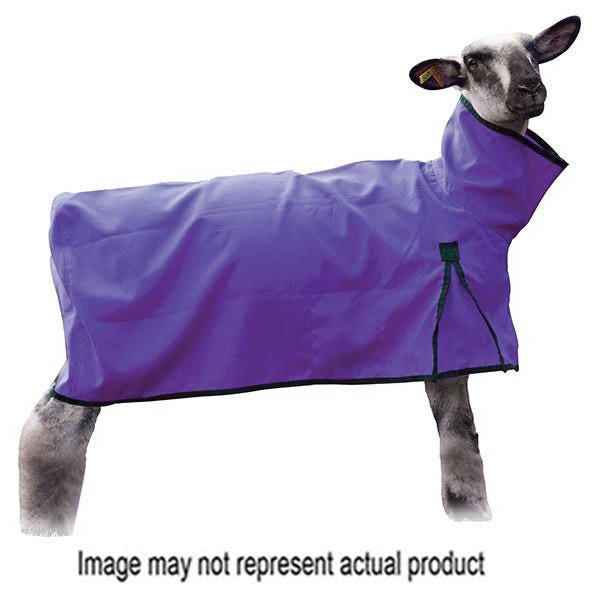 Weaver Livestock Sheep Blanket, S, Purple, D-Ring Closure - 826286