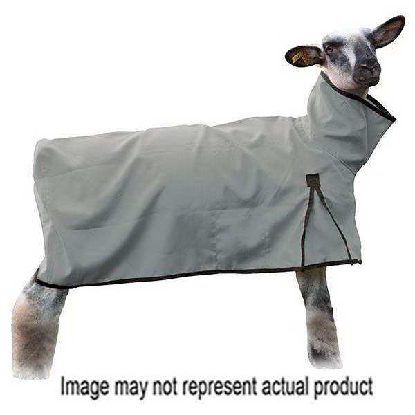 Weaver Livestock Sheep Blanket, M, Gray, D-Ring Closure - 826289