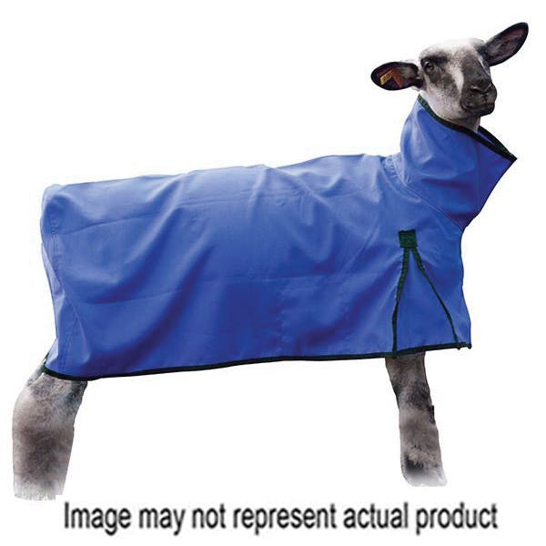 Weaver Livestock Sheep Blanket, S, Blue, D-Ring Closure - 826300