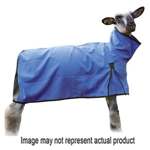 Weaver Livestock Sheep Blanket, M, Blue, D-Ring Closure - 826306