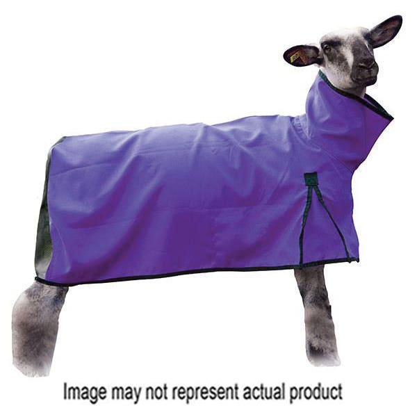 Weaver Livestock Sheep Blanket, M, Purple, D-Ring Closure - 826310