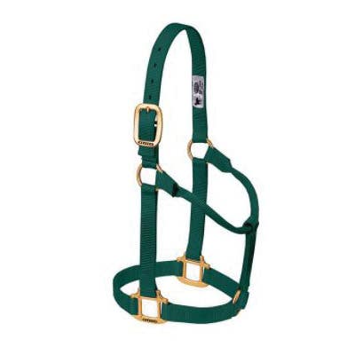 Weaver Leather Non-Adjustable Halter, S, Nylon, Hunter Green