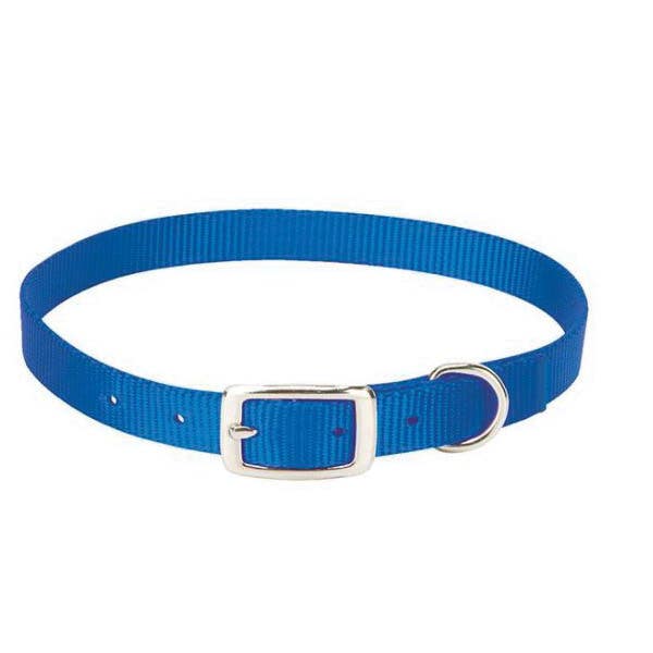Weaver Livestock Goat Collar, 5/8 in W Collar, 14 to 16 in L Collar, Nylon, Blue