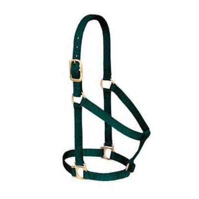 Weaver Leather Non-Adjustable Halter, Average, Nylon, Hunter Green - 835568