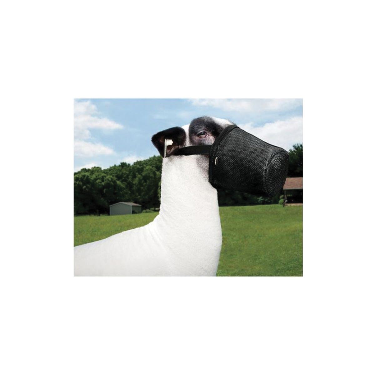 Weaver Livestock Sheep/Goat Muzzle, Heavy-Duty, Black