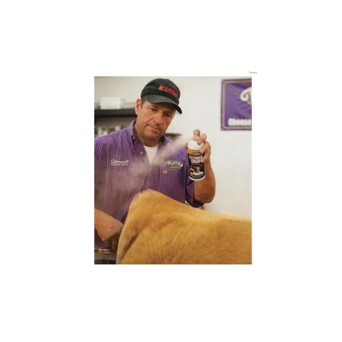 Weaver Livestock ProPaint Touch-Up Spray Paint, Aerosol, Black/Cream, 10 oz