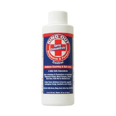 Concentrated Ring Out Shampoo, Liquid, Clear/Light Amber, Fresh Medicinal, 4 oz Bottle