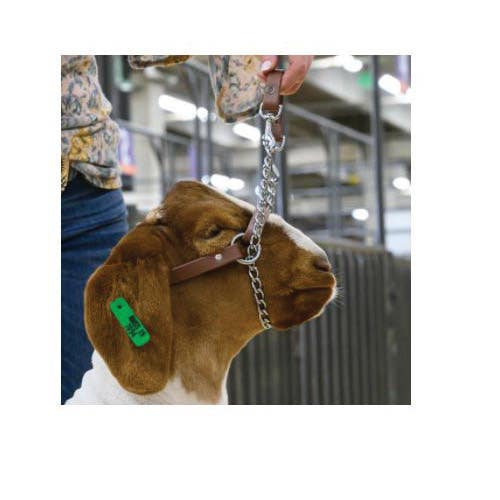 Weaver Livestock Total Control Goat Halter, Brown