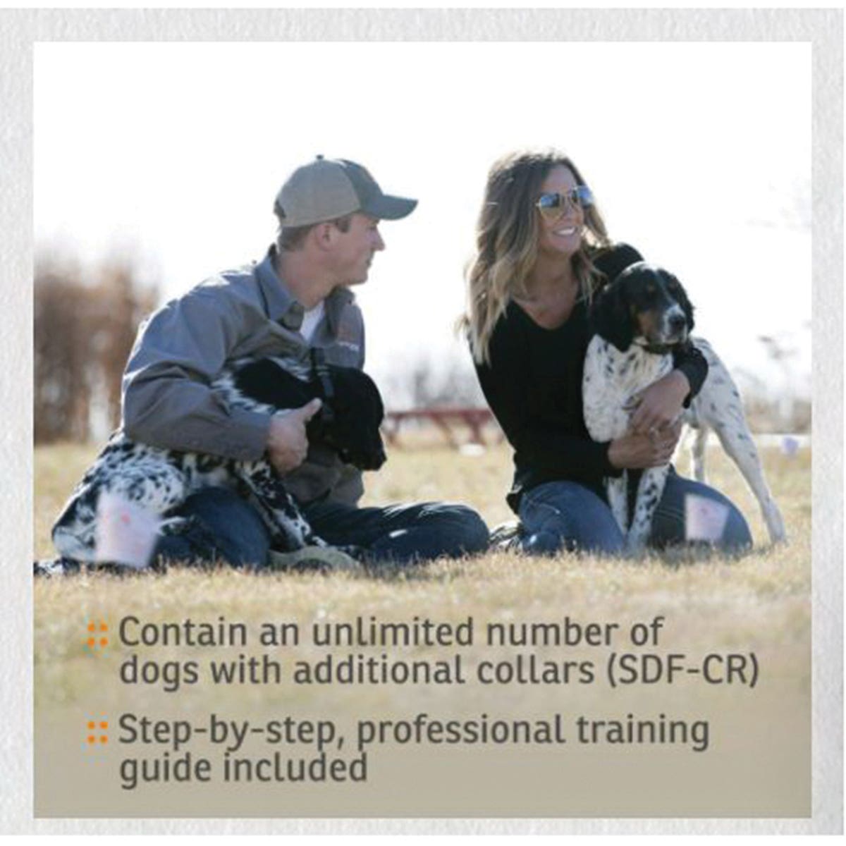 SportDOG In-Ground Fence System, Battery, Lithium-Ion Battery, 100 acre Control, Black