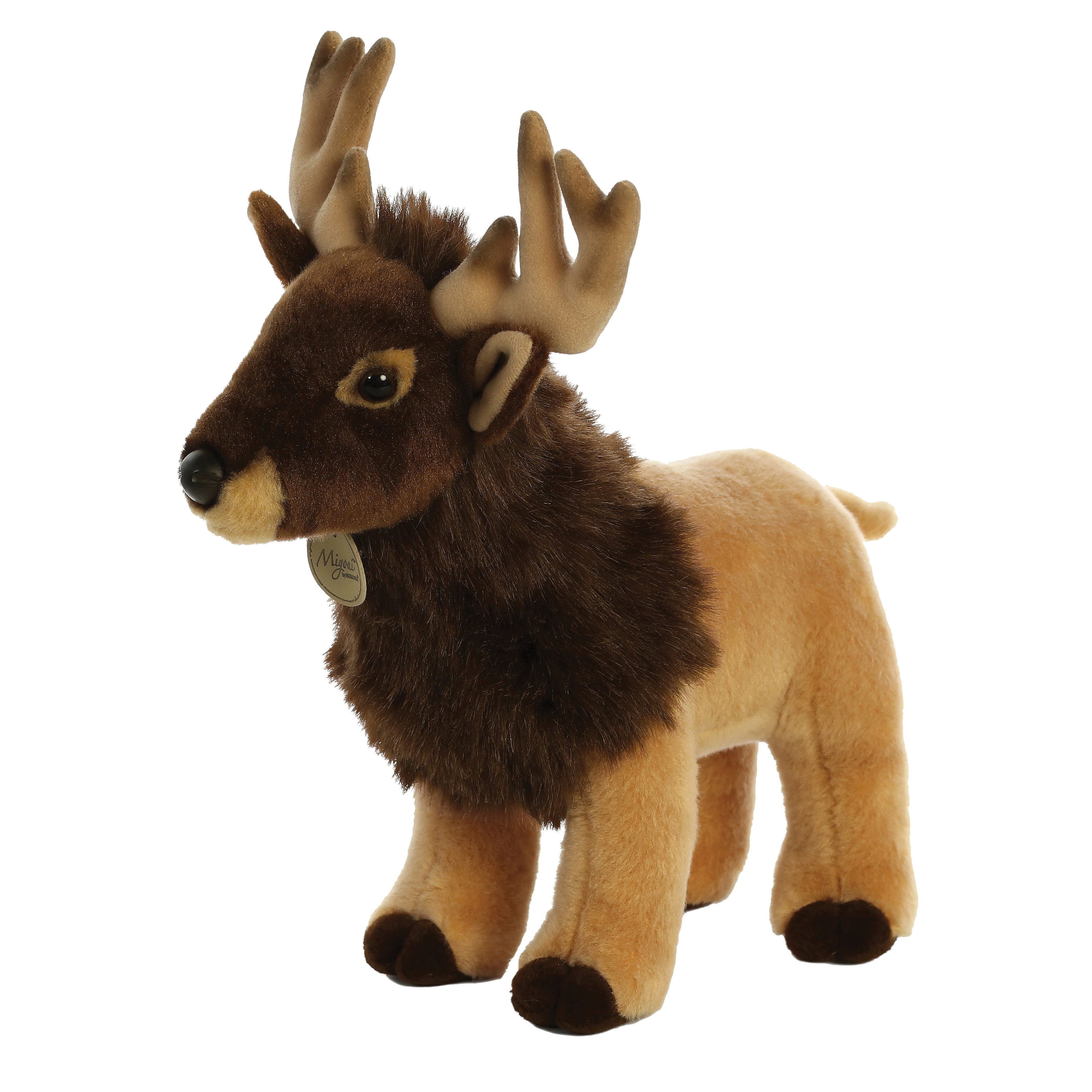 Aurora Myioni Series Elk