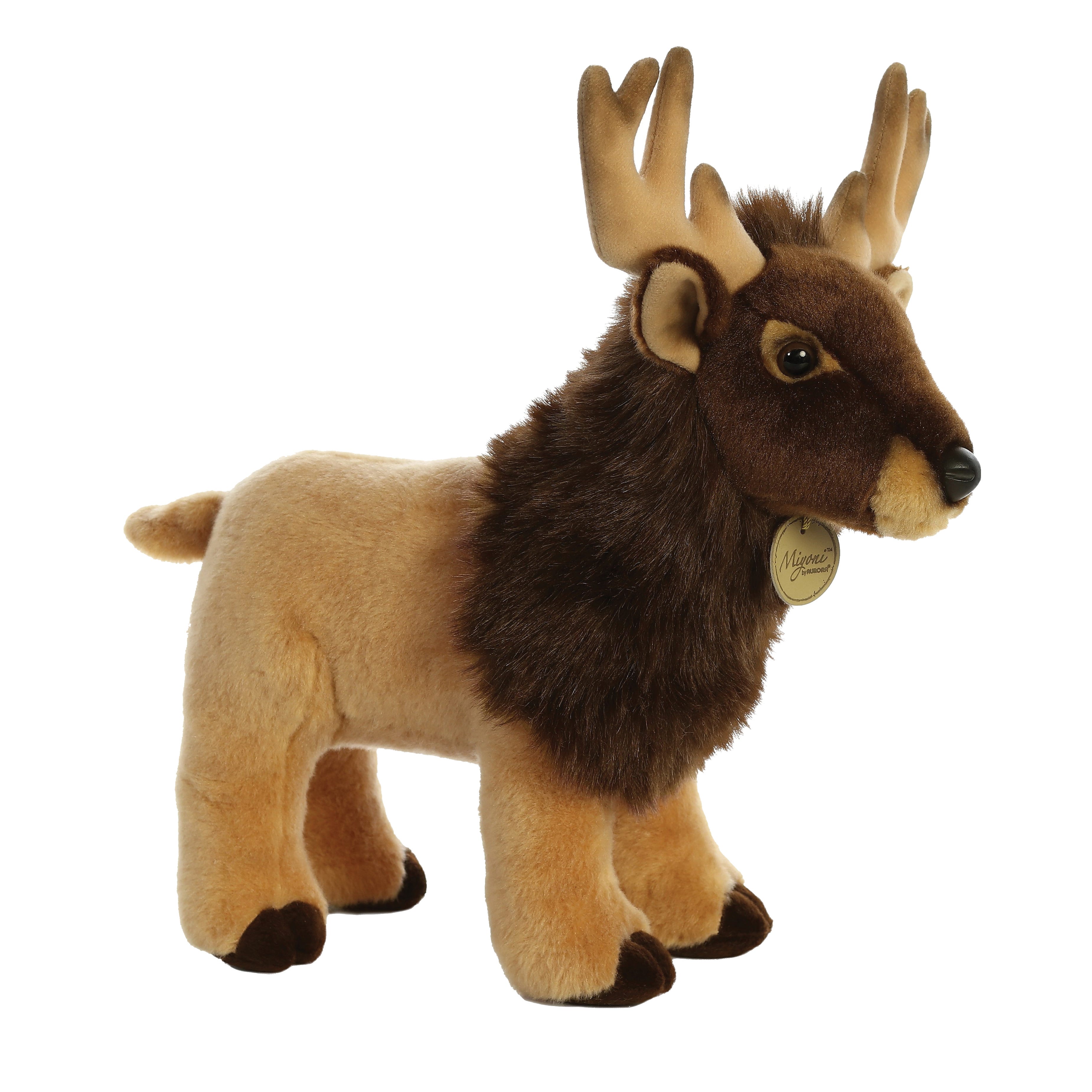 Aurora Myioni Series Elk
