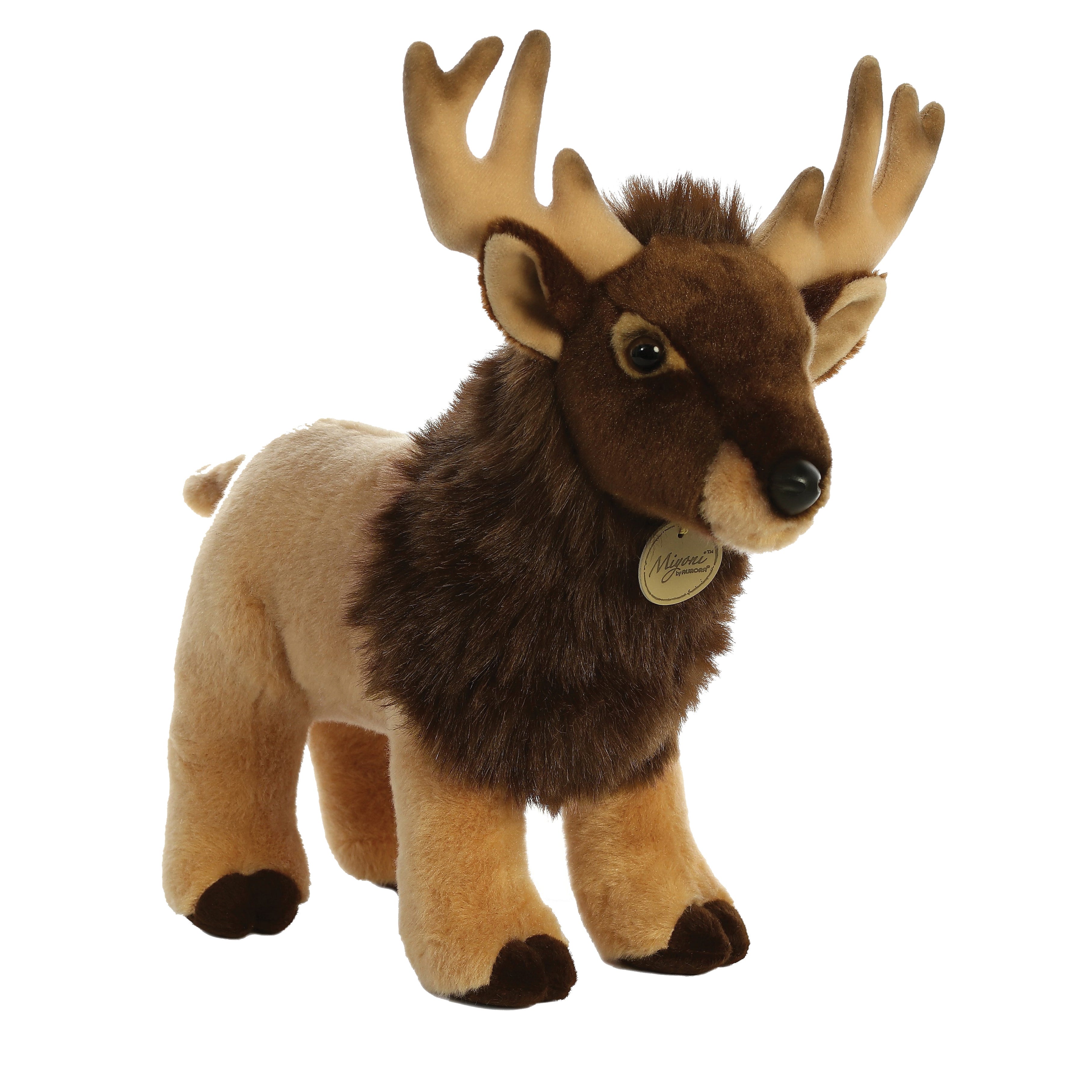 Aurora Myioni Series Elk